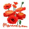 marnon.com